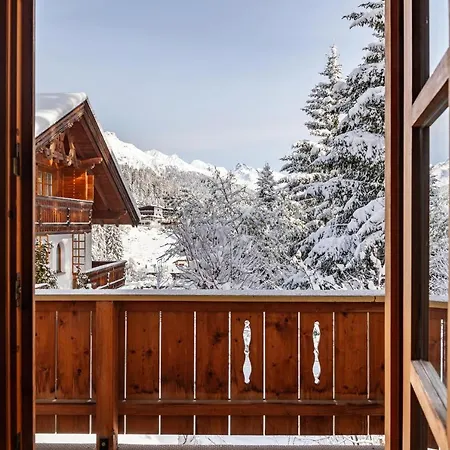 Flocke Sternschnuppe *