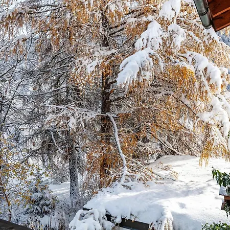 Flocke Sternschnuppe Apartment