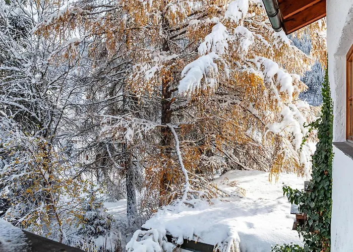 Flocke Sternschnuppe Apartment